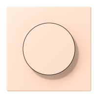 Centre plate with knob LC32091 - JUNG (pavadinimas tikslinamas)