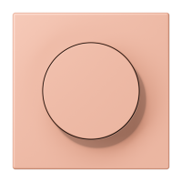 Centre plate with knob LC32102 - JUNG (pavadinimas tikslinamas)