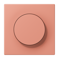Centre plate with knob LC32111 - JUNG (pavadinimas tikslinamas)