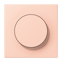 Centre plate with knob LC32112 - JUNG (pavadinimas tikslinamas)
