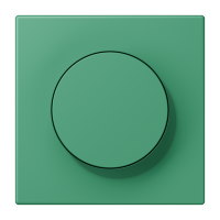 Centre plate with knob LC4320G - JUNG (pavadinimas tikslinamas)