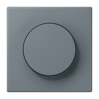 Centre plate with knob LC4320H - JUNG (pavadinimas tikslinamas)