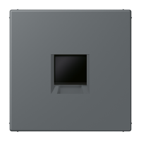centre plate for MJ f. 1 socket LC32010 - JUNG (pavadinimas tikslinamas)