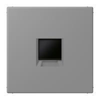 centre plate for MJ f. 1 socket LC32011 - JUNG (pavadinimas tikslinamas)