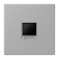centre plate for MJ f. 1 socket LC32012 - JUNG (pavadinimas tikslinamas)