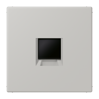 centre plate for MJ f. 1 socket LC32013 - JUNG (pavadinimas tikslinamas)