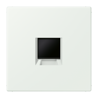 centre plate for MJ f. 1 socket LC32024 - JUNG (pavadinimas tikslinamas)