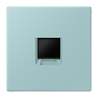 centre plate for MJ f. 1 socket LC32033 - JUNG (pavadinimas tikslinamas)