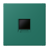 centre plate for MJ f. 1 socket LC32040 - JUNG (pavadinimas tikslinamas)