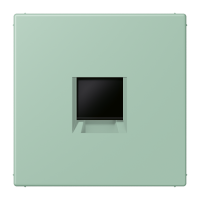 centre plate for MJ f. 1 socket LC32041 - JUNG (pavadinimas tikslinamas)