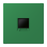 centre plate for MJ f. 1 socket LC32050 - JUNG (pavadinimas tikslinamas)