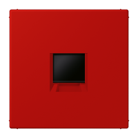centre plate for MJ f. 1 socket LC32090 - JUNG (pavadinimas tikslinamas)