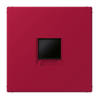 centre plate for MJ f. 1 socket LC32100 - JUNG (pavadinimas tikslinamas)