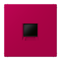 centre plate for MJ f. 1 socket LC32101 - JUNG (pavadinimas tikslinamas)