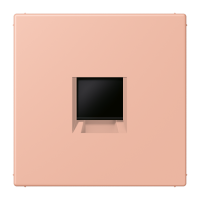 centre plate for MJ f. 1 socket LC32102 - JUNG (pavadinimas tikslinamas)