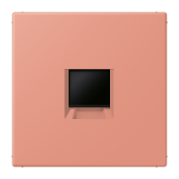 centre plate for MJ f. 1 socket LC32111 - JUNG (pavadinimas tikslinamas)
