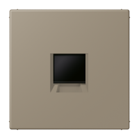 centre plate for MJ f. 1 socket LC32141 - JUNG (pavadinimas tikslinamas)