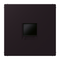 centre plate for MJ f. 1 socket LC4320E - JUNG (pavadinimas tikslinamas)