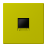 centre plate for MJ f. 1 socket LC4320F - JUNG (pavadinimas tikslinamas)