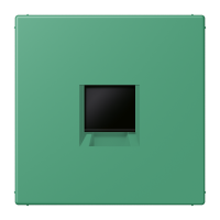 centre plate for MJ f. 1 socket LC4320G - JUNG (pavadinimas tikslinamas)