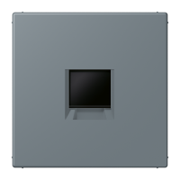 centre plate for MJ f. 1 socket LC4320H - JUNG (pavadinimas tikslinamas)