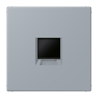 centre plate for MJ f. 1 socket LC4320O - JUNG (pavadinimas tikslinamas)