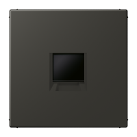 centre plate for MJ f. 1 socket LC4320R - JUNG (pavadinimas tikslinamas)