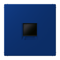 centre plate for MJ f. 1 socket LC4320T - JUNG (pavadinimas tikslinamas)