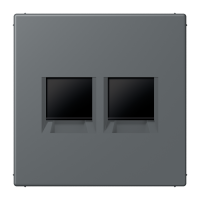 centre plate for MJ f. 2 sockets LC32010 - JUNG (pavadinimas tikslinamas)