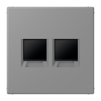 centre plate for MJ f. 2 sockets LC32011 - JUNG (pavadinimas tikslinamas)