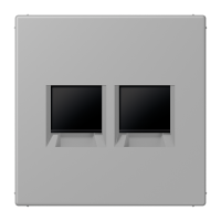 centre plate for MJ f. 2 sockets LC32012 - JUNG (pavadinimas tikslinamas)