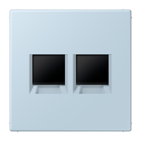 centre plate for MJ f. 2 sockets LC32022 - JUNG (pavadinimas tikslinamas)