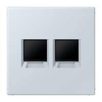 centre plate for MJ f. 2 sockets LC32023 - JUNG (pavadinimas tikslinamas)