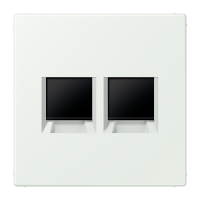 centre plate for MJ f. 2 sockets LC32024 - JUNG (pavadinimas tikslinamas)