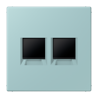 centre plate for MJ f. 2 sockets LC32033 - JUNG (pavadinimas tikslinamas)