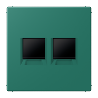 centre plate for MJ f. 2 sockets LC32040 - JUNG (pavadinimas tikslinamas)