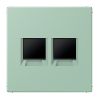 centre plate for MJ f. 2 sockets LC32041 - JUNG (pavadinimas tikslinamas)
