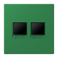 centre plate for MJ f. 2 sockets LC32050 - JUNG (pavadinimas tikslinamas)
