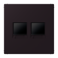 centre plate for MJ f. 2 sockets LC4320E - JUNG (pavadinimas tikslinamas)