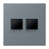 centre plate for MJ f. 2 sockets LC4320H - JUNG (pavadinimas tikslinamas)