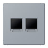 centre plate for MJ f. 2 sockets LC4320O - JUNG (pavadinimas tikslinamas)