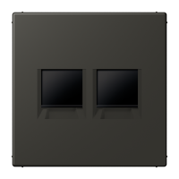 centre plate for MJ f. 2 sockets LC4320R - JUNG (pavadinimas tikslinamas)