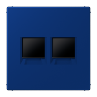 centre plate for MJ f. 2 sockets LC4320T - JUNG (pavadinimas tikslinamas)