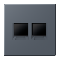 centre plate for MJ f. 2 sockets LC4320U - JUNG (pavadinimas tikslinamas)