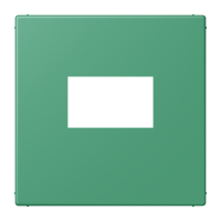 centre plate f. USB charger LC4320G - JUNG (pavadinimas tikslinamas)