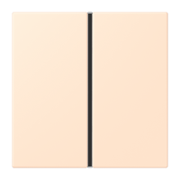 Cover kit 1-gang, complete LC32123 - JUNG (pavadinimas tikslinamas)