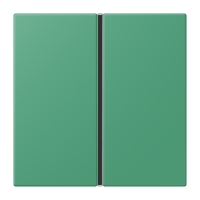 Cover kit 1-gang, complete LC4320G - JUNG (pavadinimas tikslinamas)