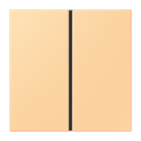 Cover kit 1-gang, complete LC4320P - JUNG (pavadinimas tikslinamas)