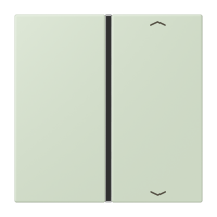Cover 1-gang with symbols LC32042 - JUNG (pavadinimas tikslinamas)