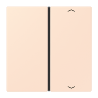 Cover 1-gang with symbols LC32082 - JUNG (pavadinimas tikslinamas)